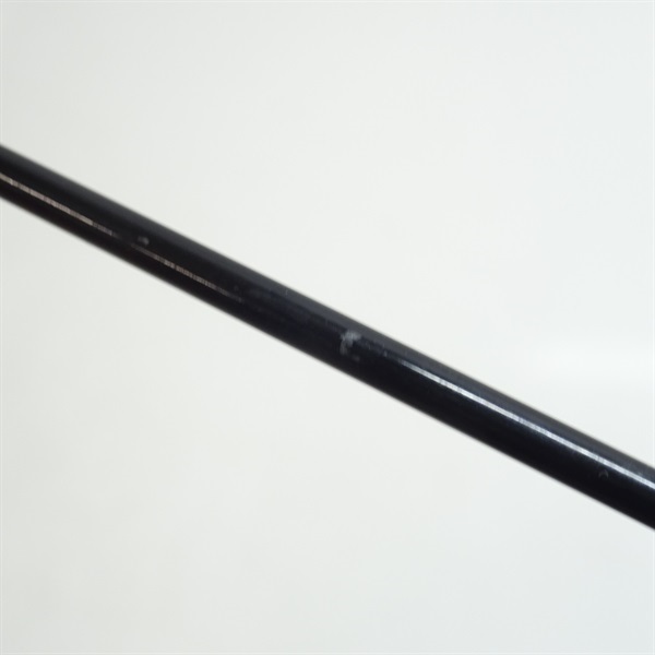 普天元 大我十三